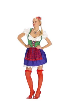 Bayerisches Dirndl Kostüm