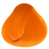 Apricot Directions 2 Apricot Directions -FaschingFreude Verkäufe directions apricot ginger head bonnie strange hair orange haare apricot haartoenung 660427 01