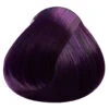 Plum Directions -FaschingFreude Verkäufe directions plum plum haartoenung haarfarbe pflaume dunkelviolett toenung 660376 01