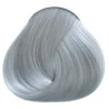 Silber Directions 2 Silber Directions -FaschingFreude Verkäufe directions silver silber toenung graue haare haarfarbe grau haartoenung silber 660380 05