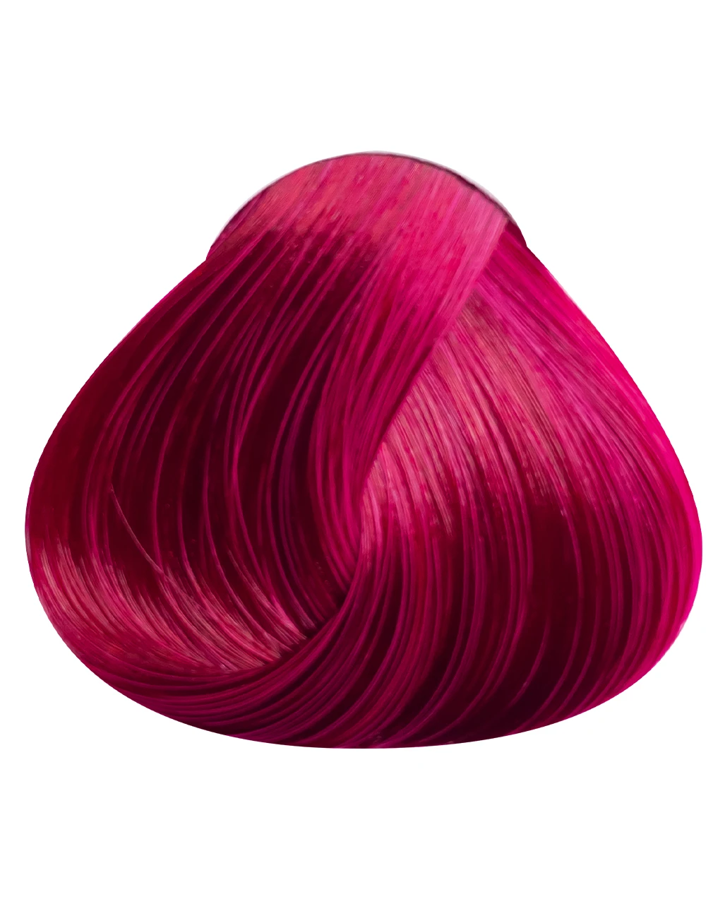 Tulip Directions 3 Tulip Directions