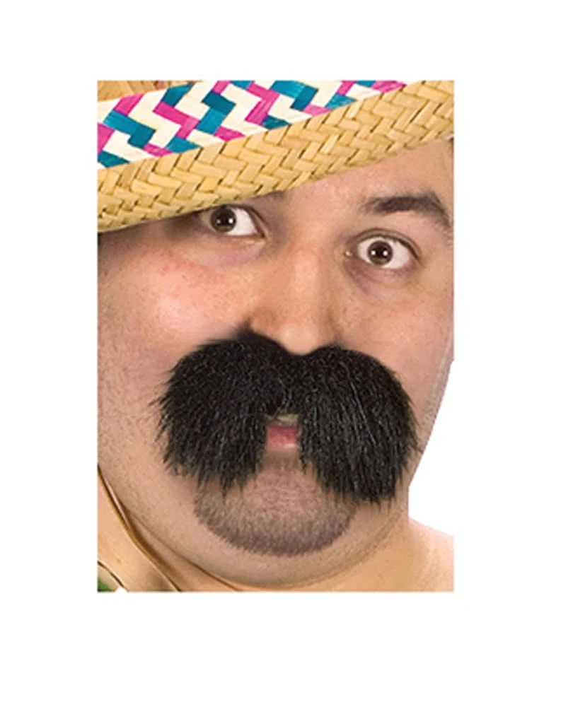 Economy Bart Proll 3 Economy Bart Proll