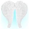 Weiße Engelsflügel Mit Federn 67x64cm -FaschingFreude Verkäufe engelsfluegel mit weissen federn white angel wings with feathers kostuemzubehoer 52050 01