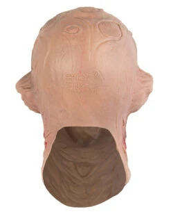 Freddy Maske Blutrausch -FaschingFreude Verkäufe freddy krueger maske blutrausch nightmare on elm street merchandise horrorfilm freddy schaumlatexmaske 14272 3