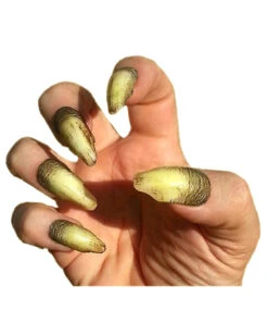 Vampir Fingernägel Orlock