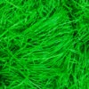 Grünes Ostergras 50 G 2 Grünes Ostergras 50 G -FaschingFreude Verkäufe ostergras aus papier 50g papiergras fuer osternest gras fuer ostern osterdekoration easter grass paper 8802328