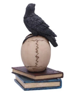 Rabe Auf Totenkopf Gothic Figur 10cm 12 Rabe Auf Totenkopf Gothic Figur 10cm -FaschingFreude Verkäufe ravens spell gothic dekofigur 10cm ravens spell figurine rabe auf totenkopf gothic figur 53129 4