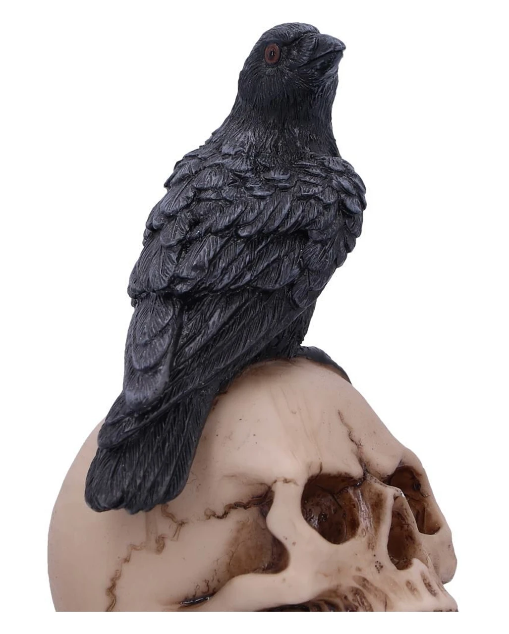 Rabe Auf Totenkopf Gothic Figur 10cm 8 Rabe Auf Totenkopf Gothic Figur 10cm – Bild 6
