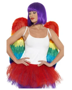 Große Rainbow Flügel