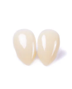 Scarecrow Vampir Eckzähne Small -FaschingFreude Verkäufe scarecrow custom fangs scarecrow vampir eckzaehne vampirzaehne scarecrow ladyfangs 14534 06