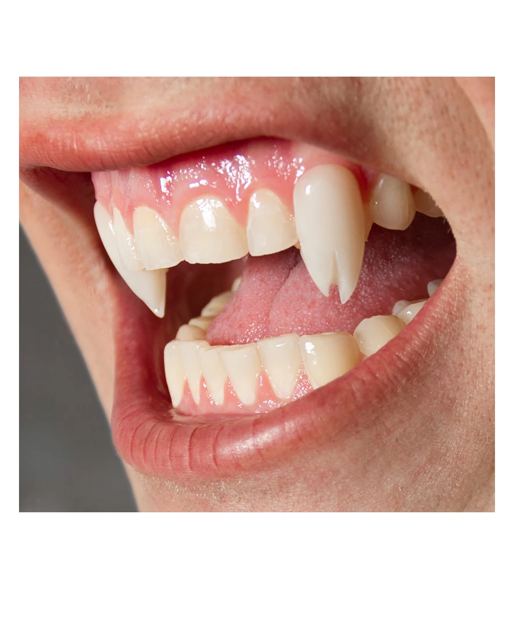 Scarecrow Viper Split Vampirzähne 5 Scarecrow Viper Split Vampirzähne – Bild 3