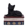 Schwarze Katze Auf Hexenbücher Box 11,7cm 1 Schwarze Katze Auf Hexenbücher Box 11,7cm -FaschingFreude Verkäufe schwarze katze auf zauberbuecherbox black salems cat on spellbook box halloween tischdekoration 50947 01