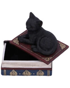 Schwarze Katze Auf Hexenbücher Box 11,7cm -FaschingFreude Verkäufe schwarze katze auf zauberbuecherbox black salems cat on spellbook box halloween tischdekoration 50947 05