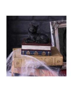 Schwarze Katze Auf Hexenbücher Box 11,7cm -FaschingFreude Verkäufe schwarze katze auf zauberbuecherbox black salems cat on spellbook box halloween tischdekoration 50947 07