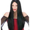 Schwarze Langhaar Perücke 2 Schwarze Langhaar Perücke -FaschingFreude Verkäufe schwarze langhaar peruecke schwarze hexenperuecke guenstige halloween peruecke black wig 10875