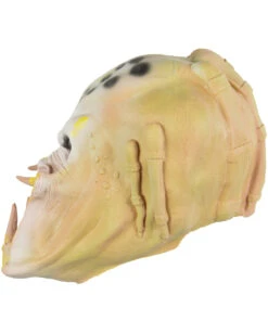 Space Hunter Maske 6 Space Hunter Maske -FaschingFreude Verkäufe space hunter maske predator schaumlatex maske sci fi alien maske fuer filmdreh 17731 2