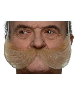 Blonder Schnauzer XXL