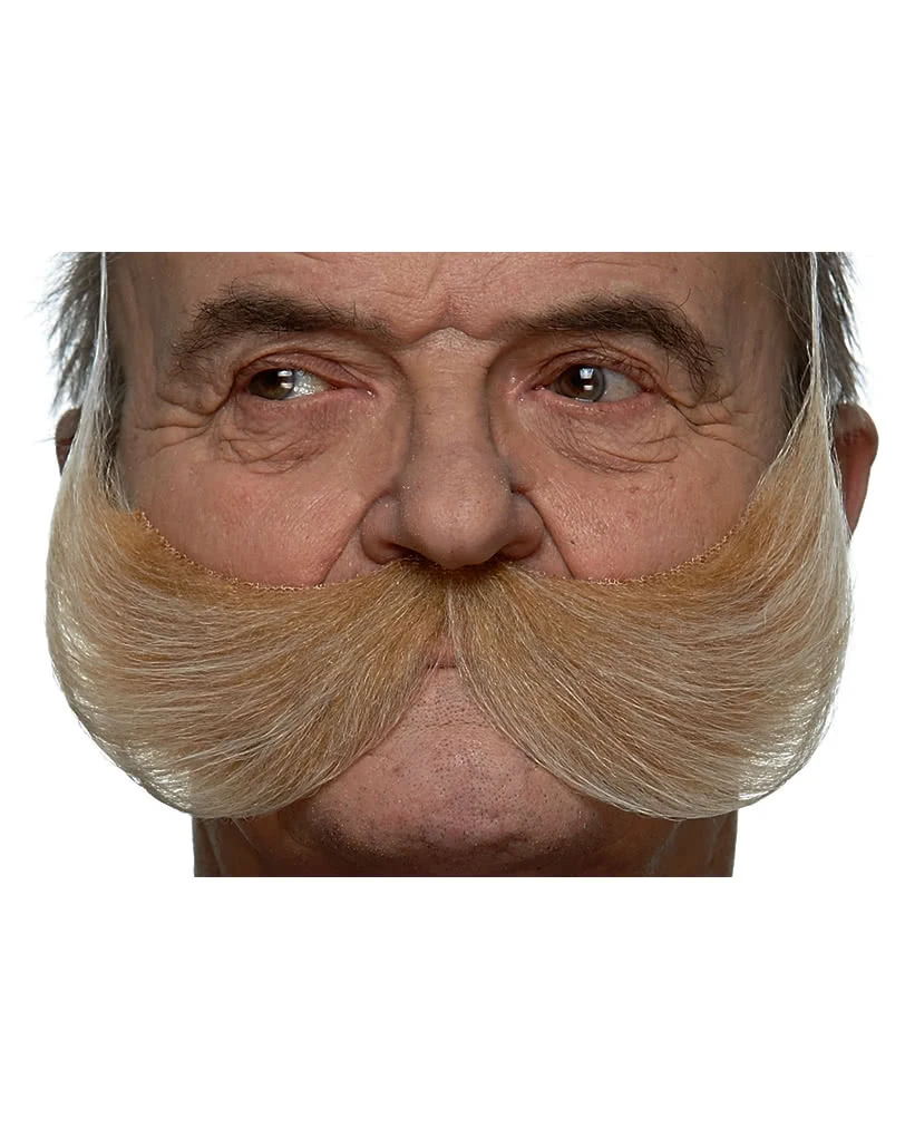 Blonder Schnauzer XXL 3 Blonder Schnauzer XXL