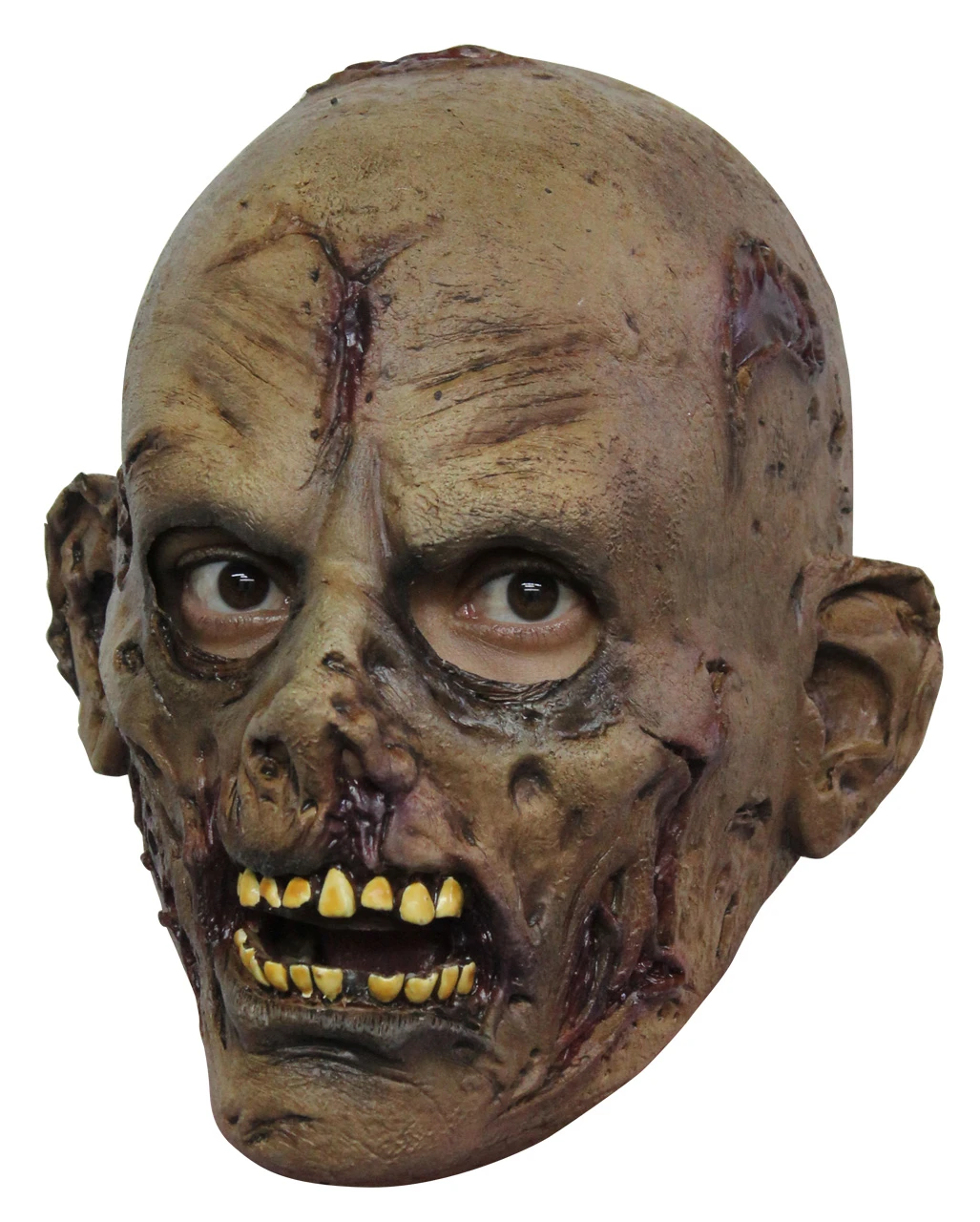 Rotten Zombie Kinder Maske 3 Rotten Zombie Kinder Maske